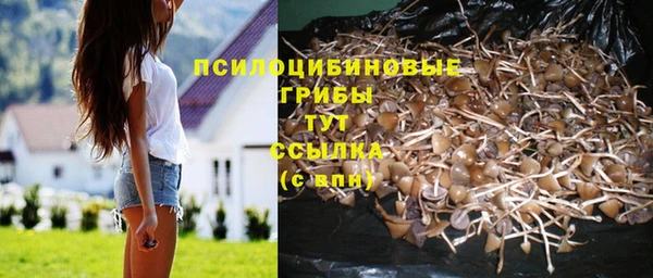 прущая мука Алексин